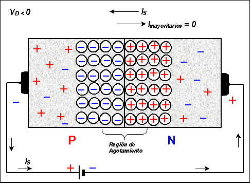 Polarización Inversa Unión Pn. Corriente De Fuga