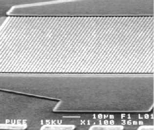 Foto SEM de una gran area experimental de un dispositivo SIT fabricado en el laboratorio